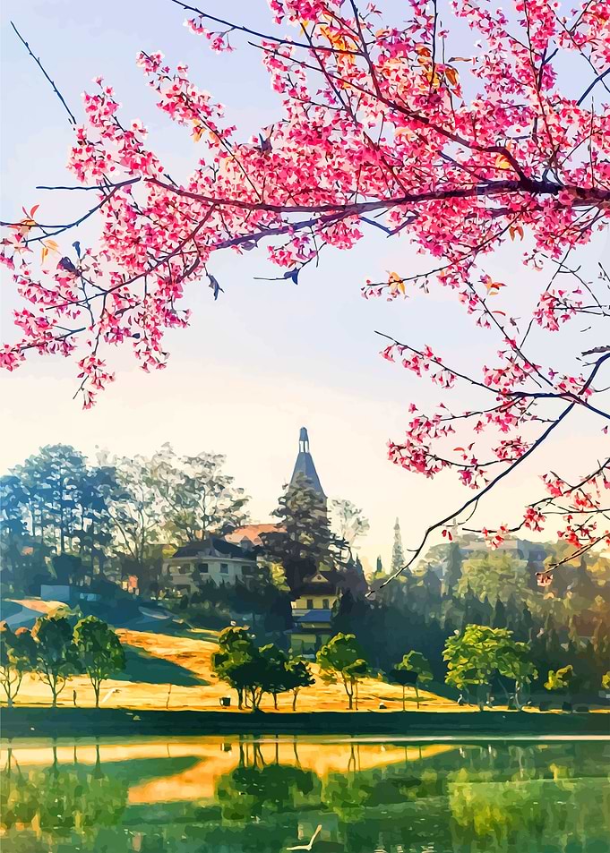 Vietnamese Nature