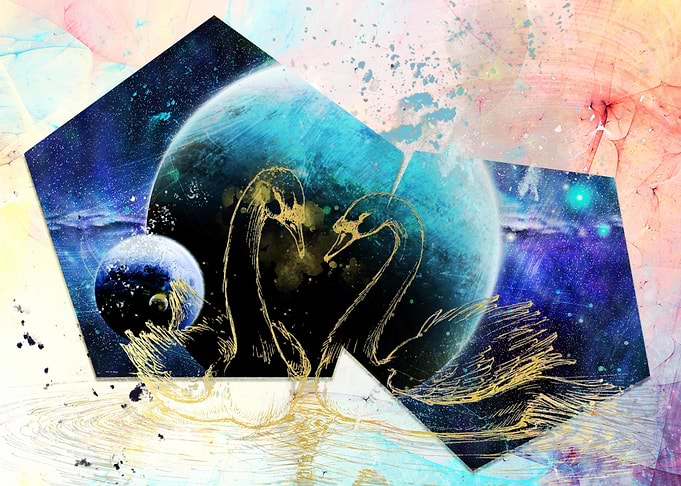 Swans from Neptune