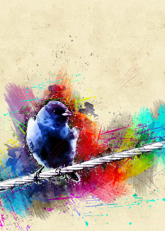 Bird 122