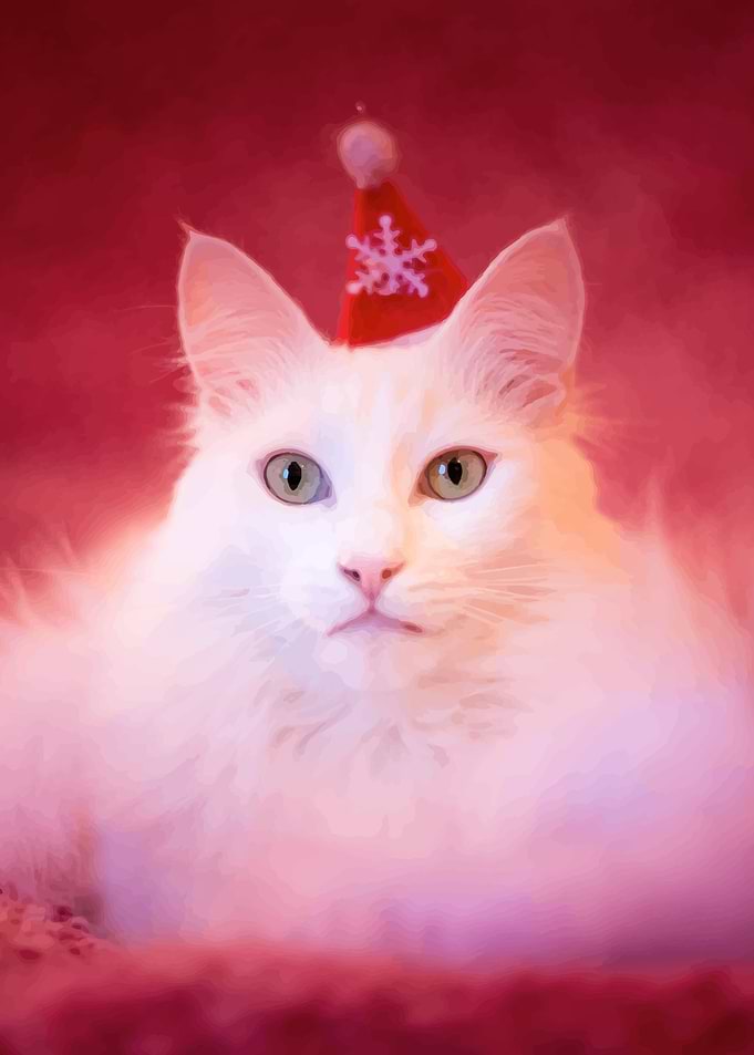 Cat illustration