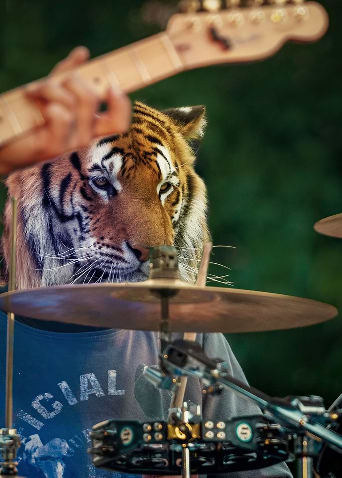 The Drummer