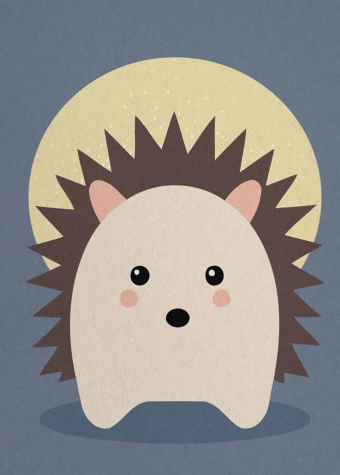 Cute hedgehog