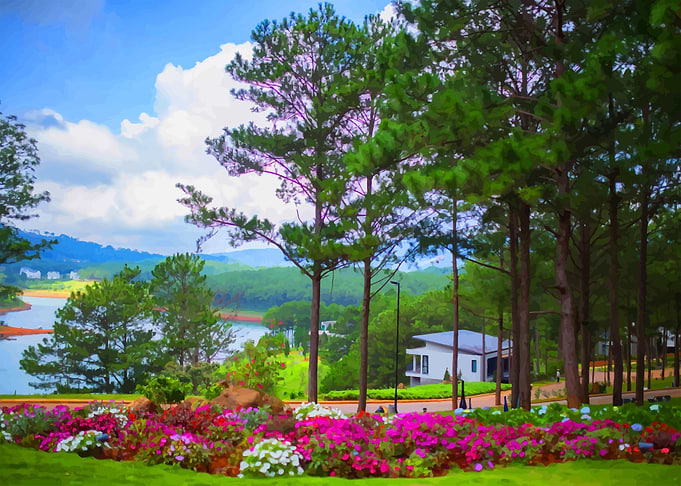 Vietnamese Nature