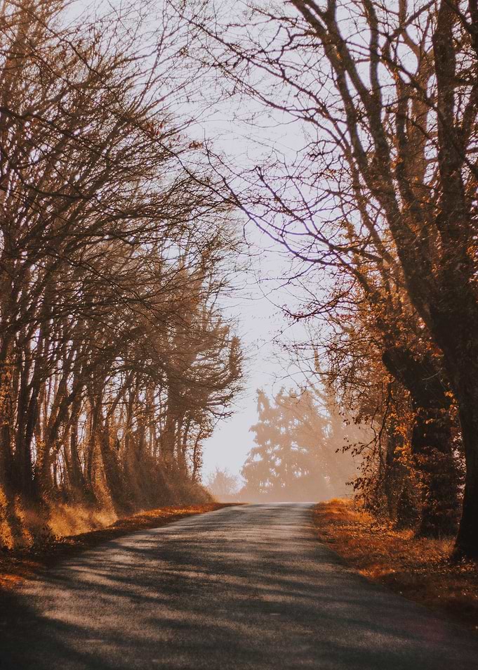 Autumn Patah