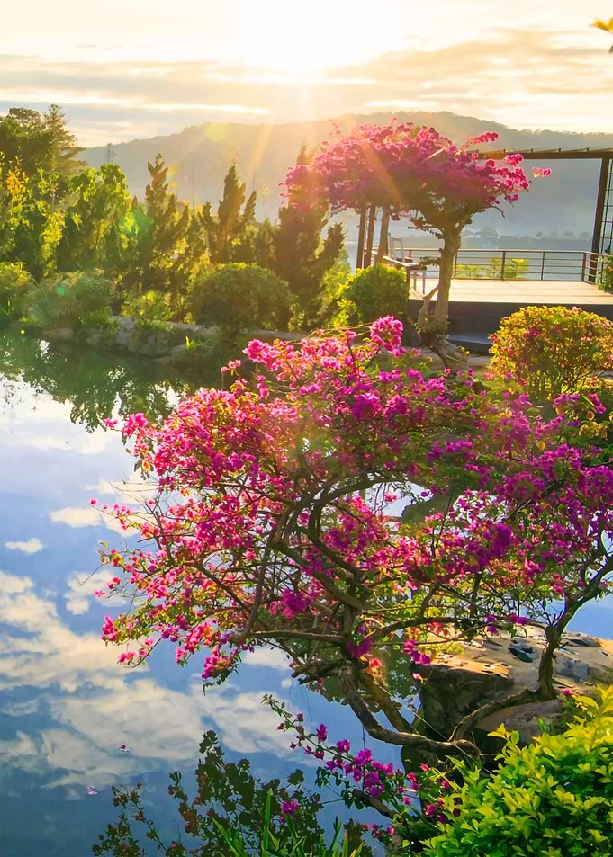 Vietnamese Nature
