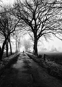 Lonely way back home