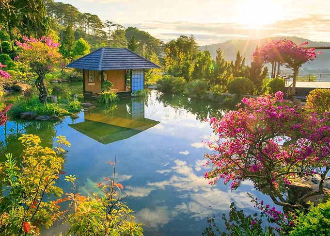 Vietnamese Nature