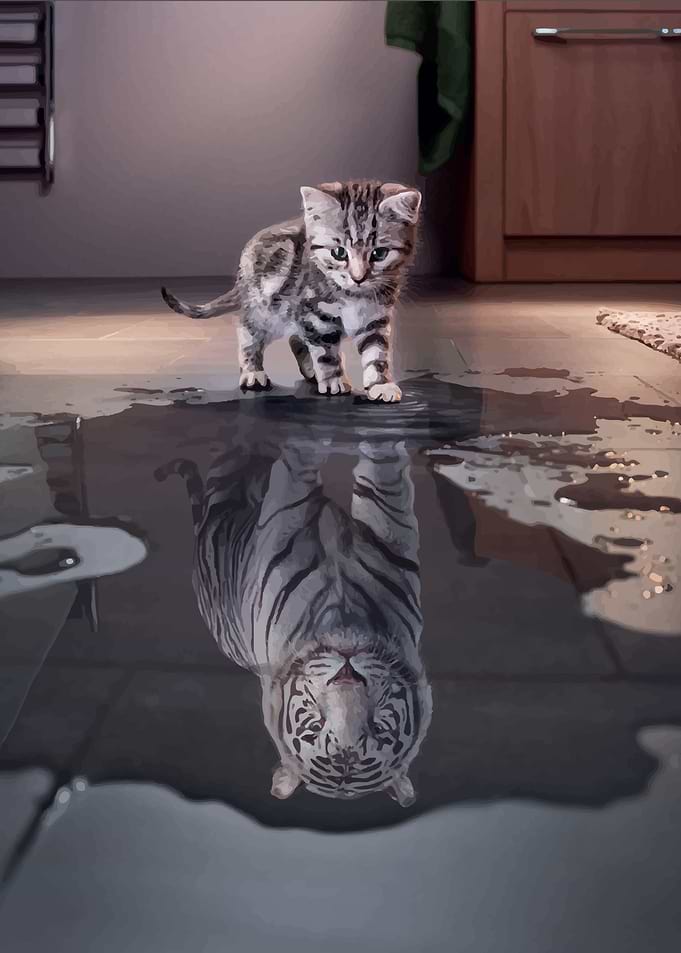 Cat And Tiger Mirror