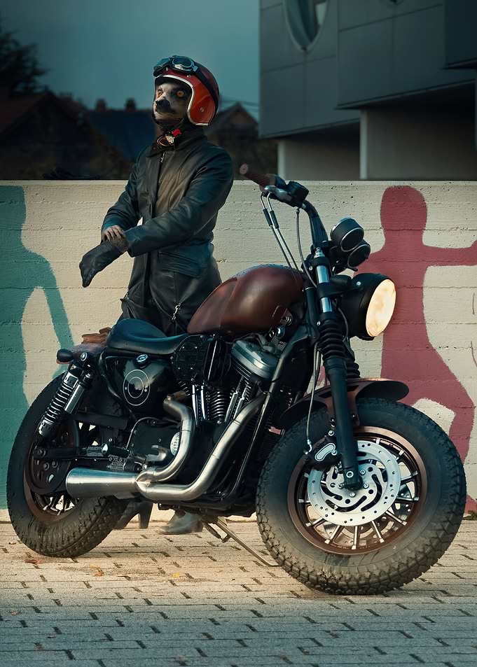 The Biker