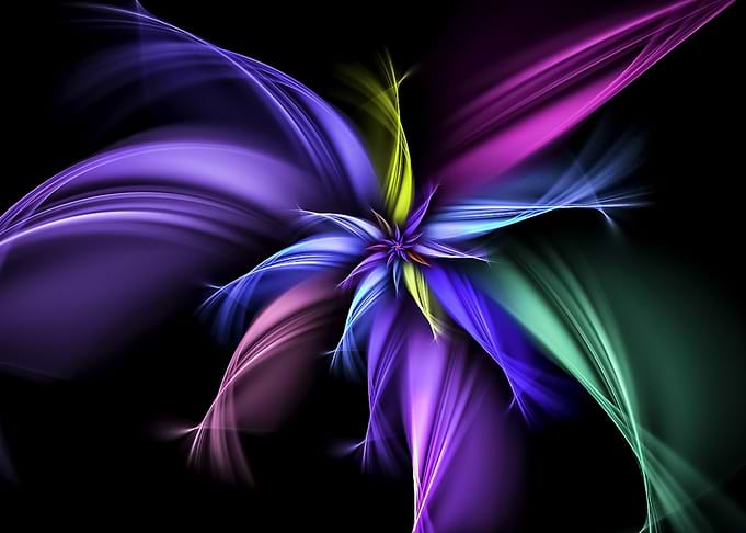 abstract Flower Petals