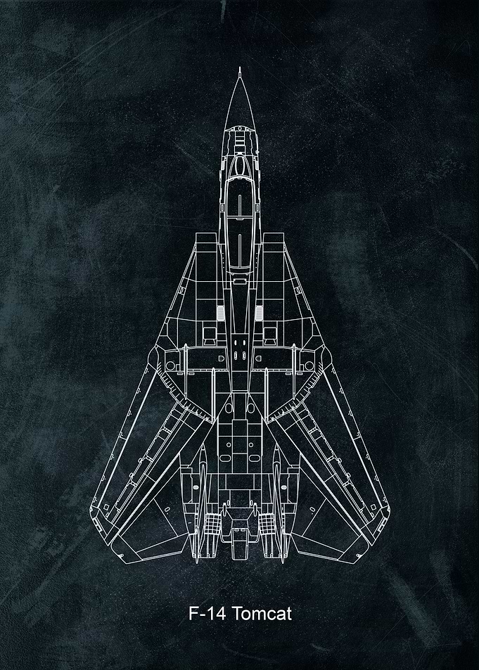 F 14 Tomcat