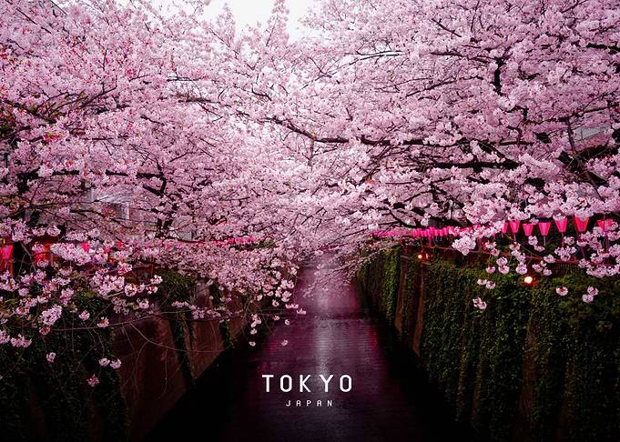 Tokyo