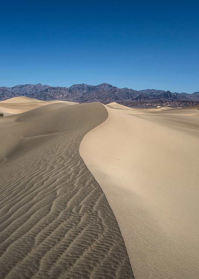 Desert