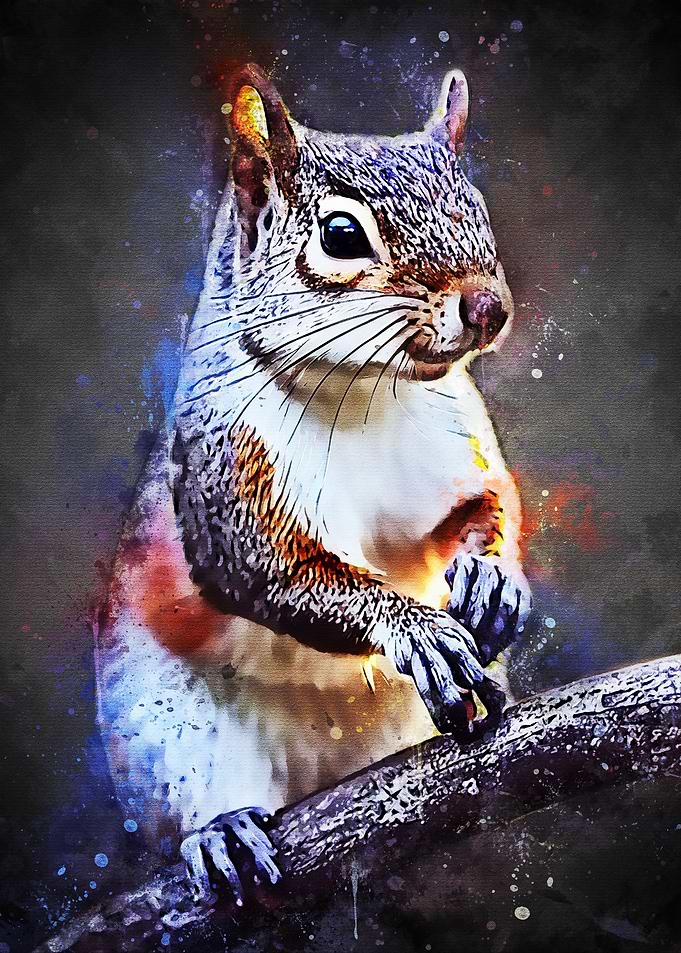 Cute Squirrel