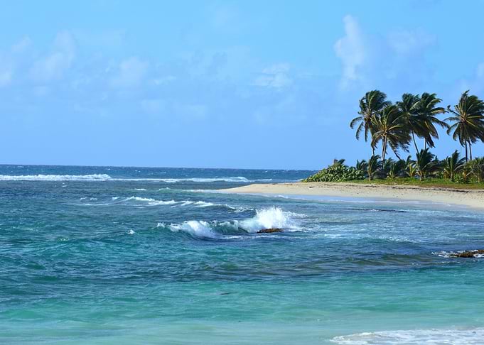 Sandy Sea Palm Beach
