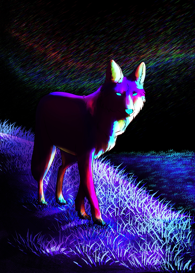 Retro Coyote