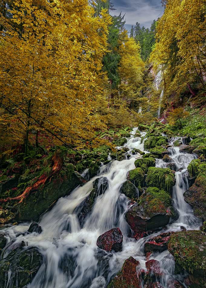 Rushing creek