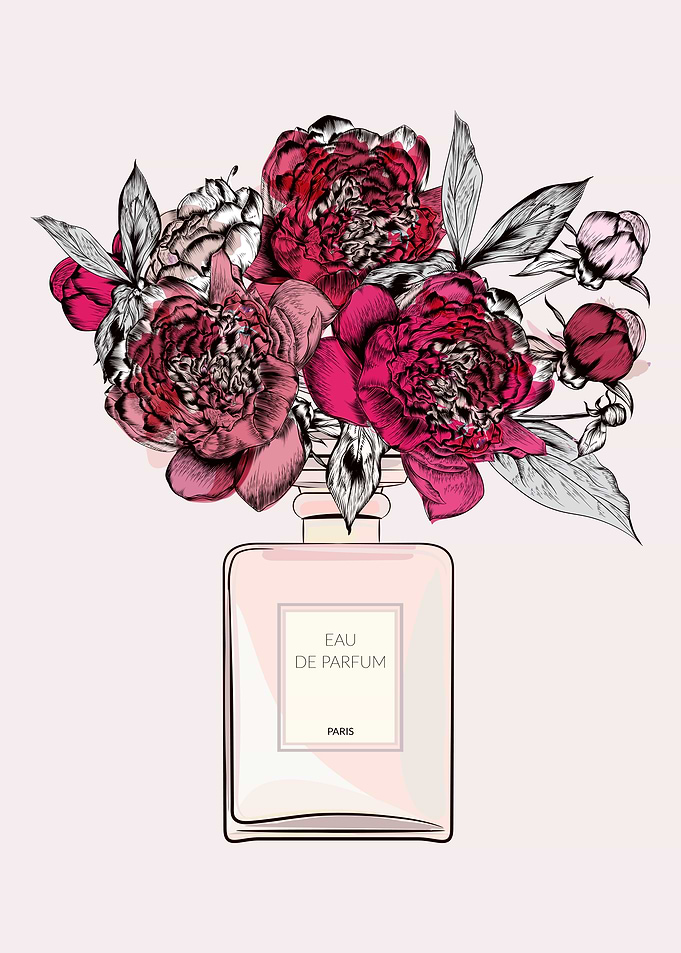 Perfume Bottle Paris