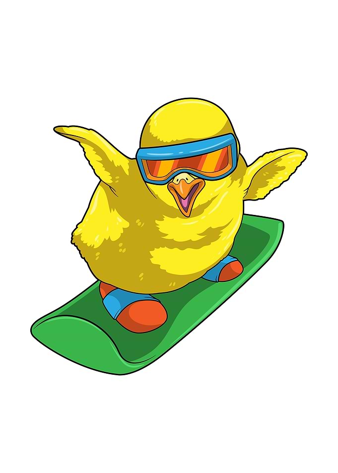 Chick Snowboard Sports