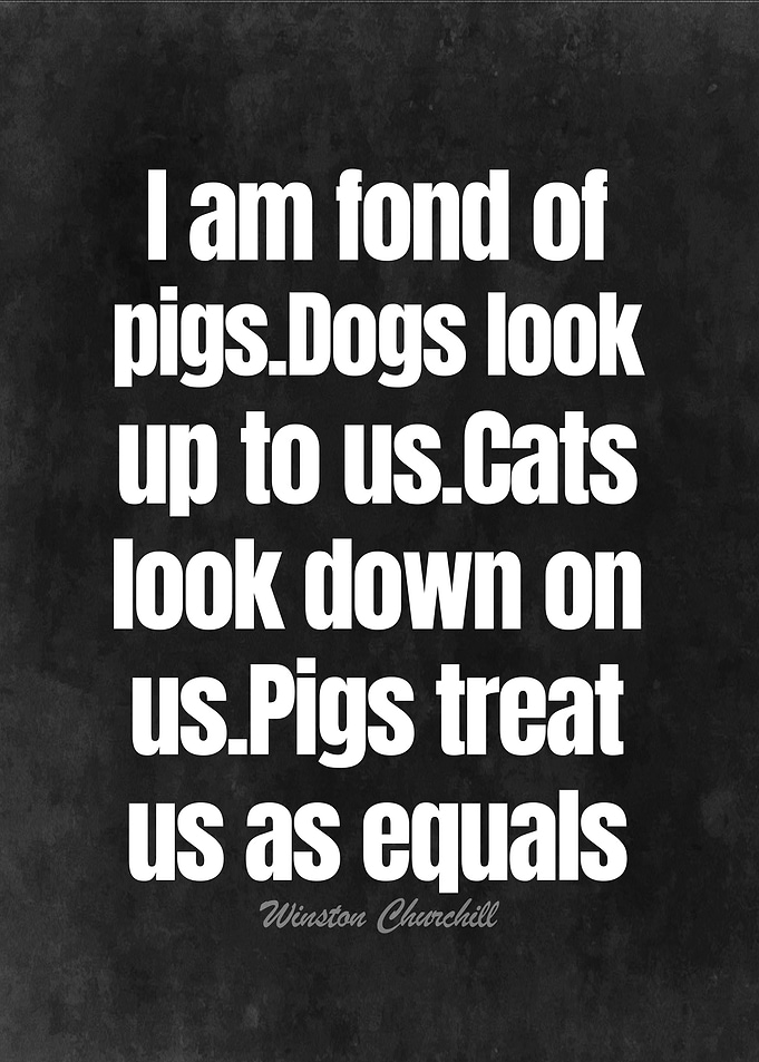 Quote