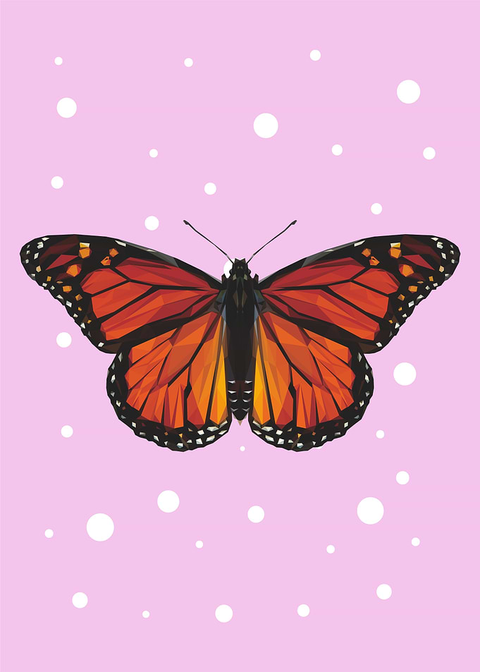 Nursery animals Butterfly