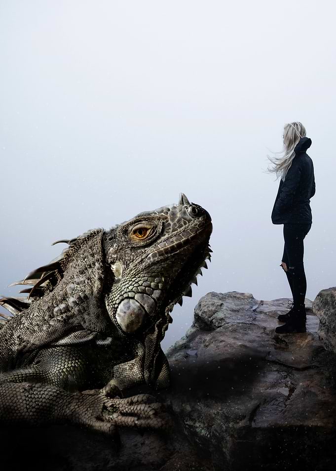 Gloomy Explorer
