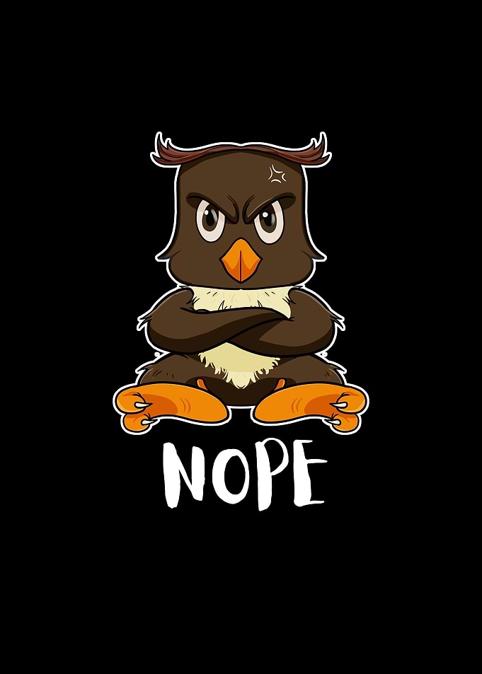Nope Funny Lazy Owl