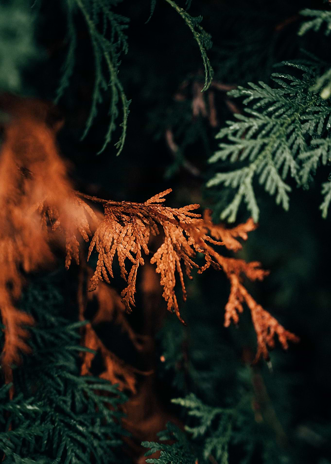 Autumn is here