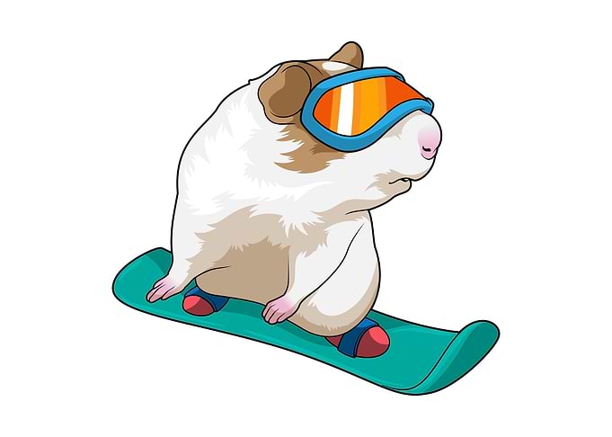 Guinea pig Snowboard Sport
