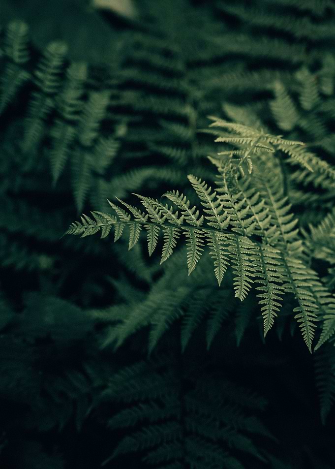 A Moment in Nature
