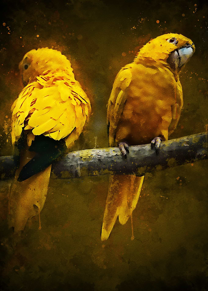 Yellow Parrot