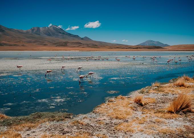 Bolivian Highlands