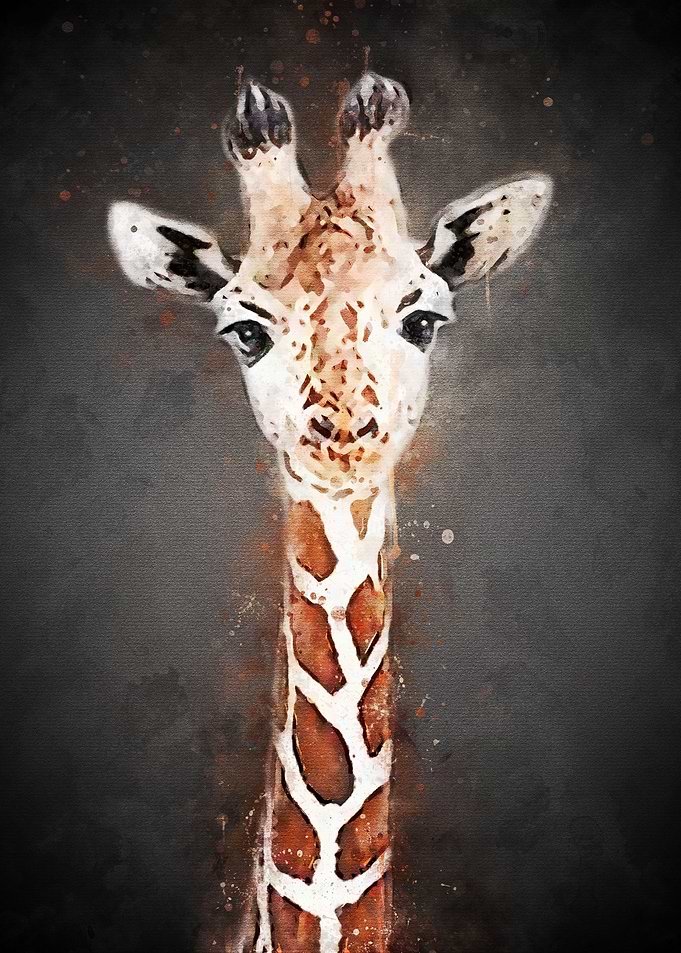 Cute Giraffe