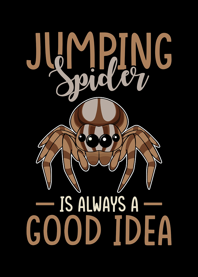 Jumping Spider