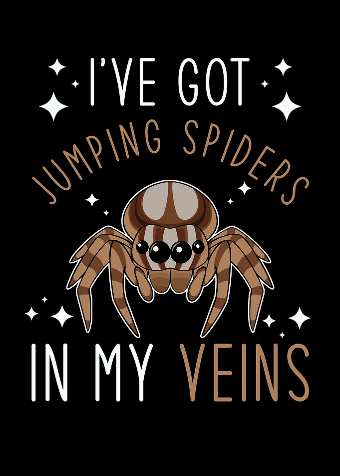 Jumping Spider