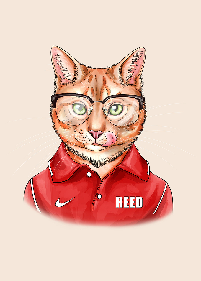 Daddy cat wearing glasses