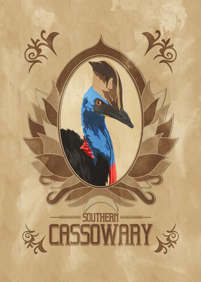 Southern cassowary