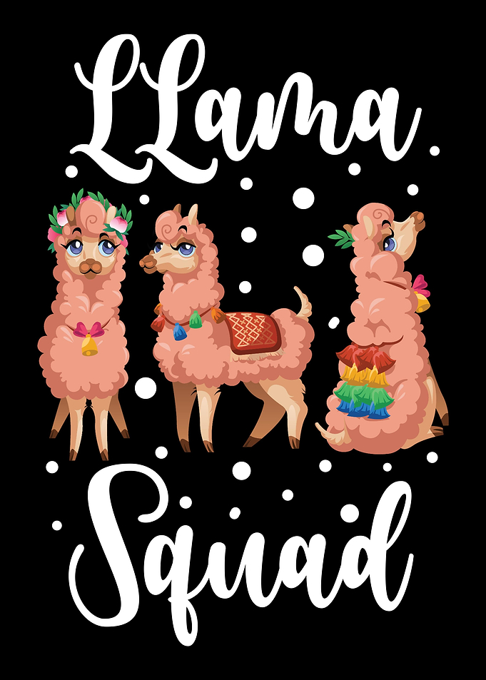 Llama Birthday Party