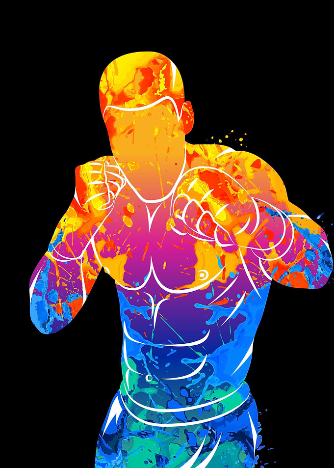 mixed martial arts fighter