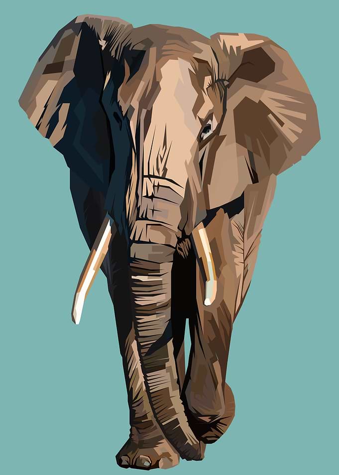 Elephant Wpap