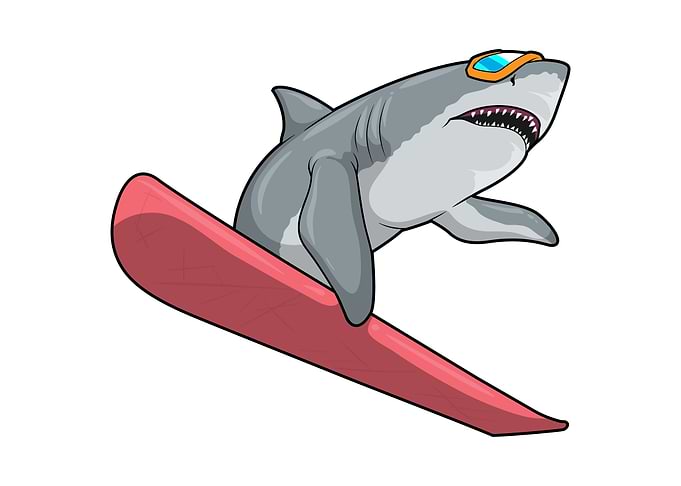 Shark Snowboard Sports