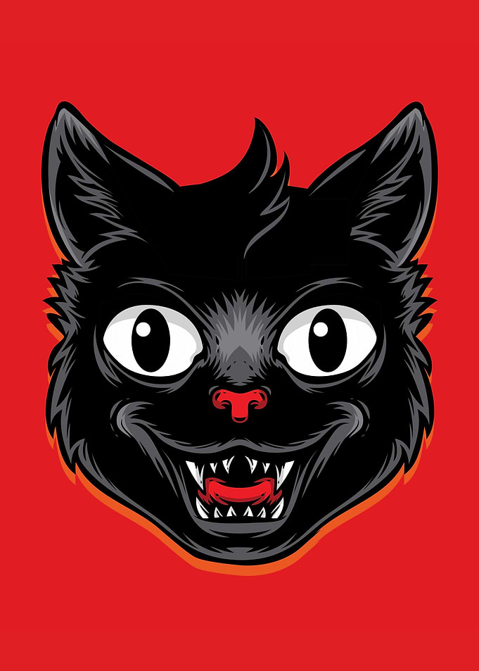 Funny Black Cat