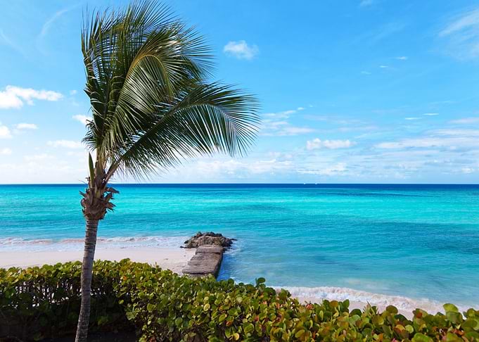 Sandy Sea Palm Beach