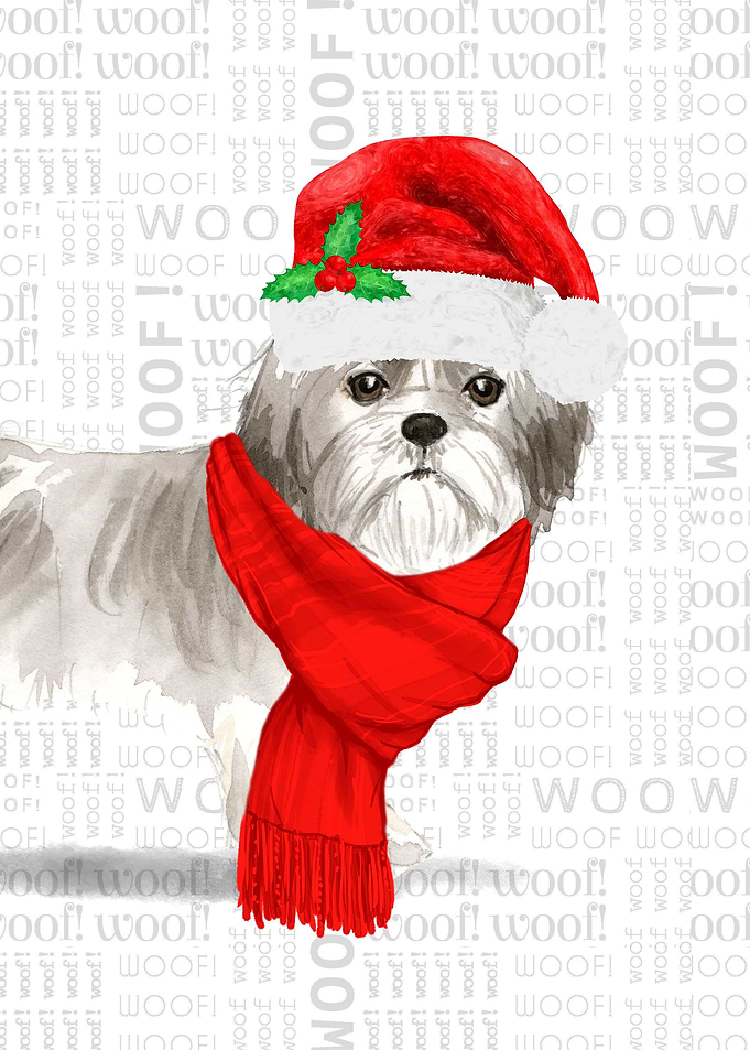 Imperial Shih Tzu Dog