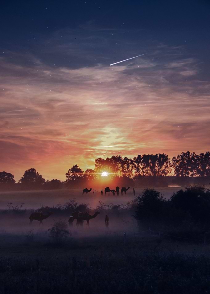 Nature 2