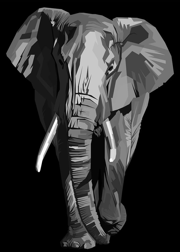 Elephant Wpap