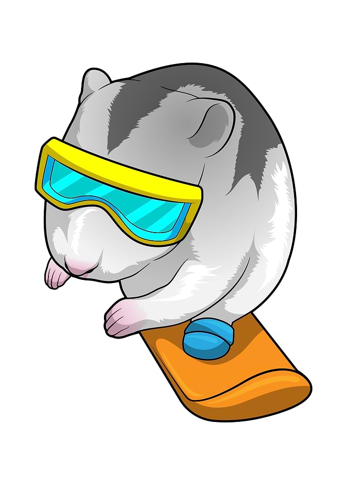 Hamster Snowboard Sports