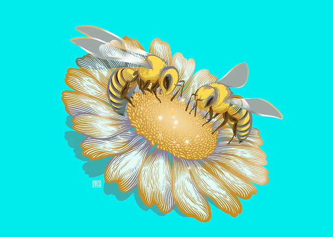 Lil Bees