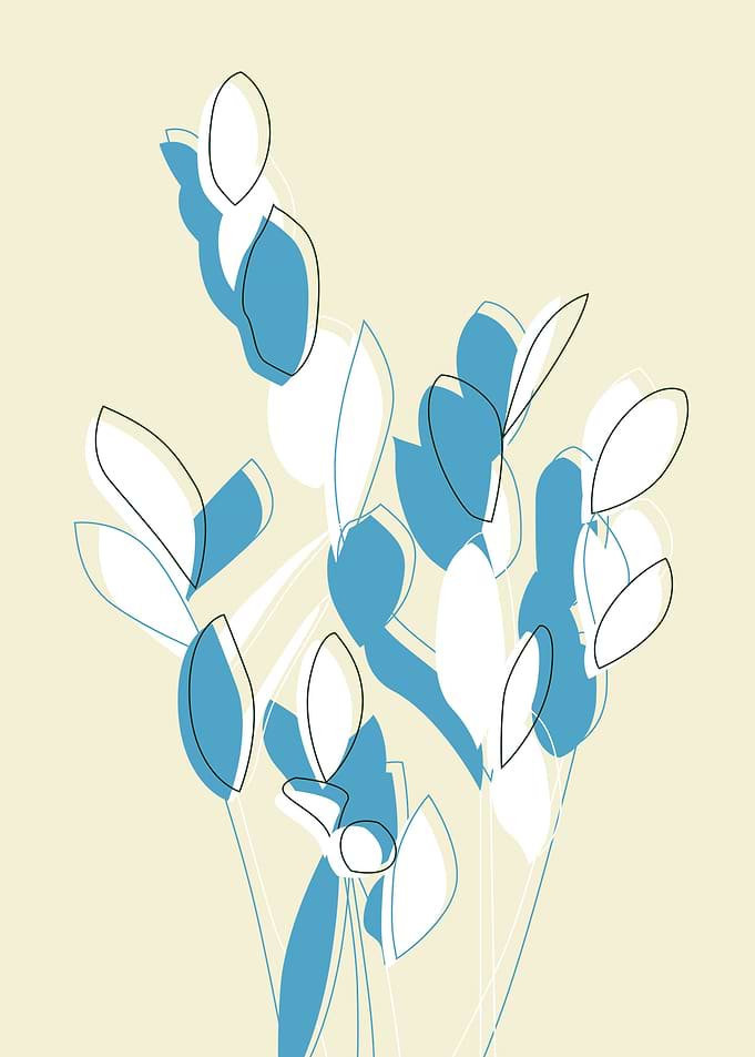 Zamiokulkas