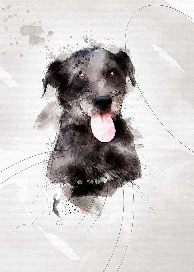 Faithful dog